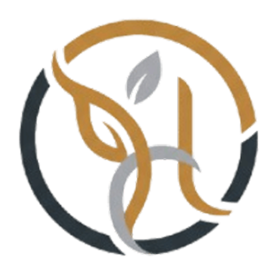 The Health Insight Journal